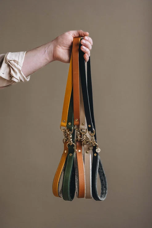 Laisse pour chien en cuir Hitch Band & Roll