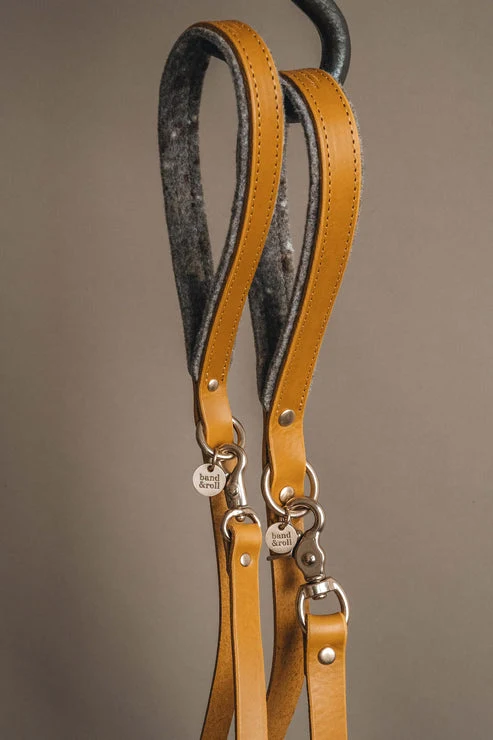 Laisse pour chien en cuir Hitch Band & Roll