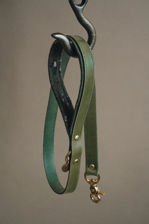 Laisse pour chien en cuir Hitch Band & Roll