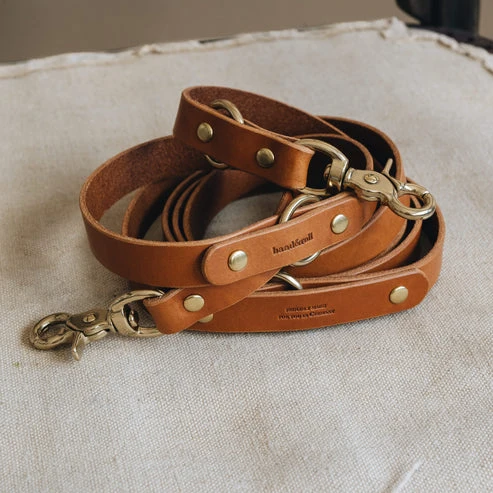 Laisse fine pour chien en cuir ajustable Lasso Air Band & Roll