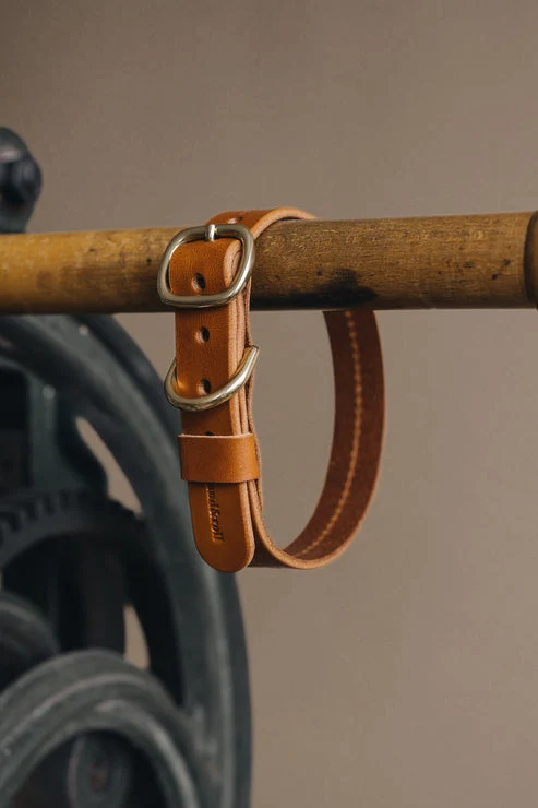 Collier pour chien en cuir Fir Band & Roll