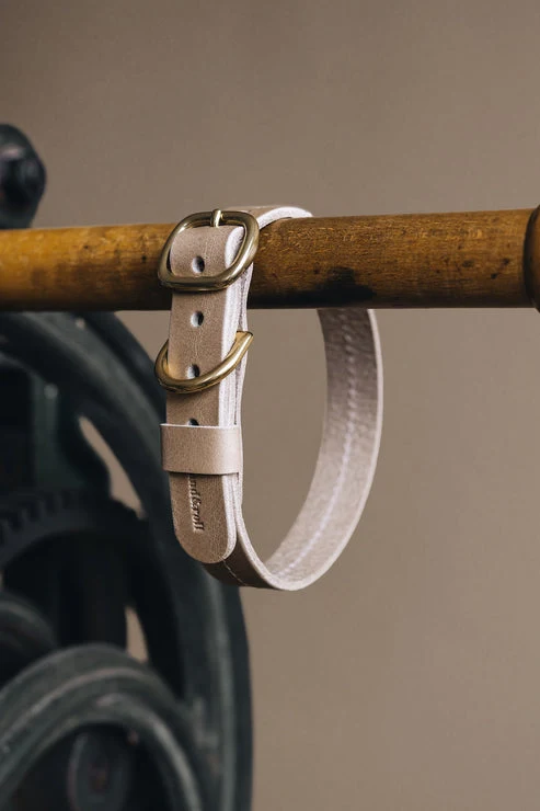 Collier pour chien en cuir Fir Band & Roll
