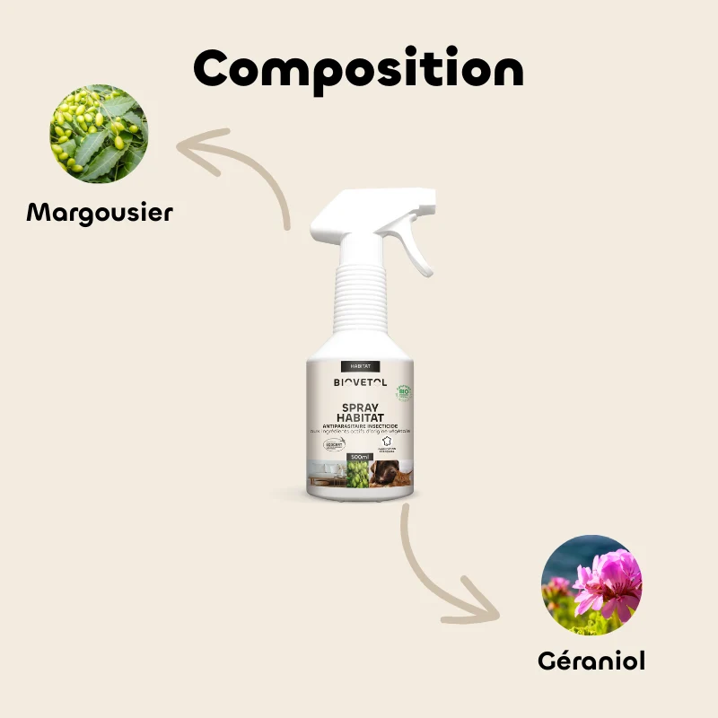 Spray anti-puces naturel pour l'habitat