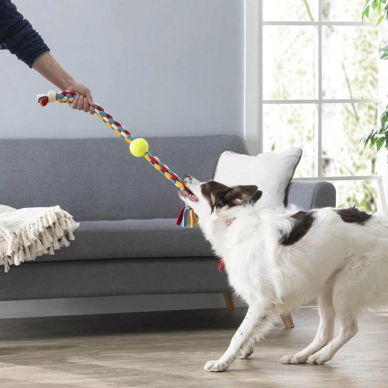 KIKKERLAND Kobe Sheep Dog Ball Jouet pour chien