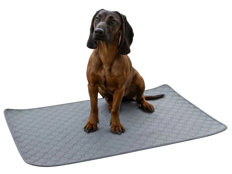 Tapis éducateur chien, chat