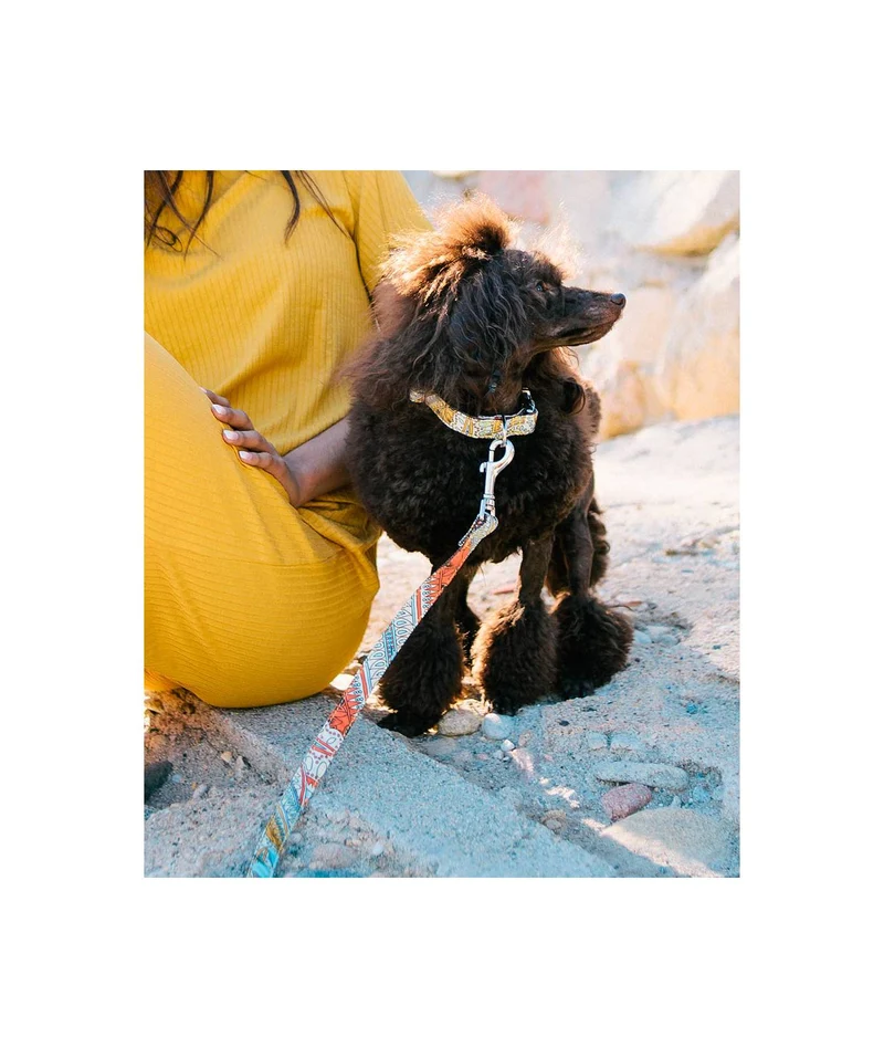Laisse pour chien Sacaleta
