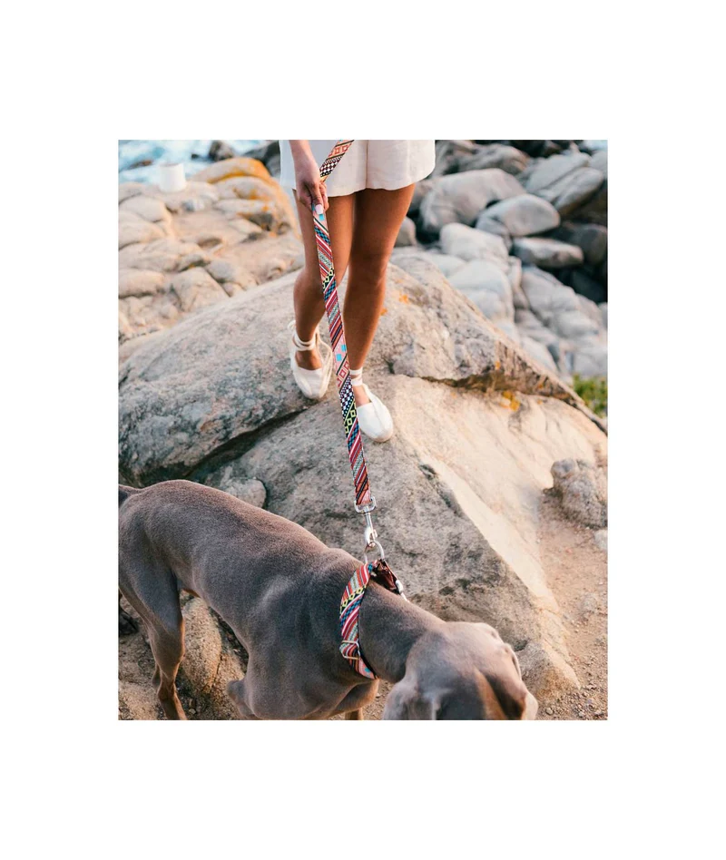 Collier pour chien Escranc