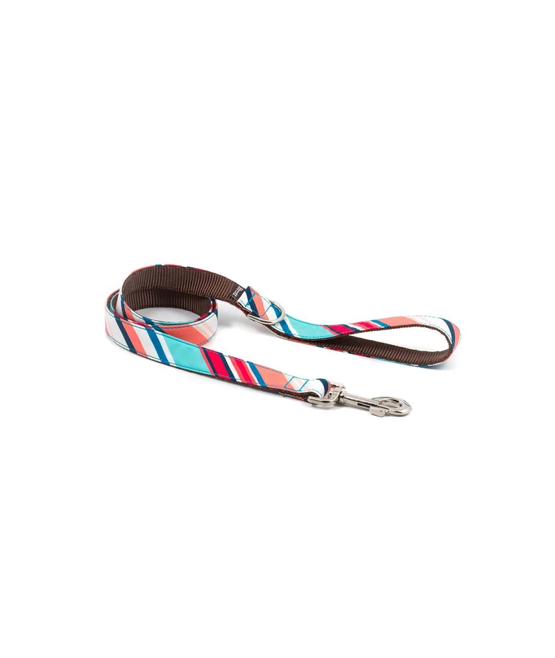 Collier pour chien Morisca