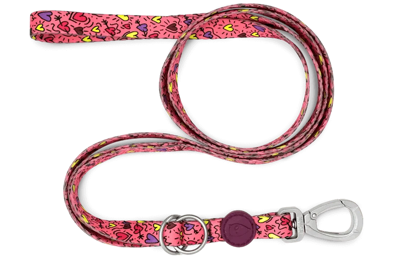 Laisse pour chien Pink Think