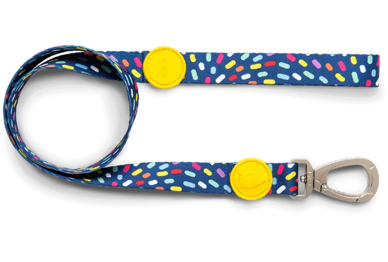 Laisse pour chien Color Invaders