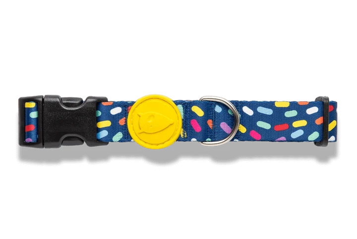 Collier pour chien Color Invaders