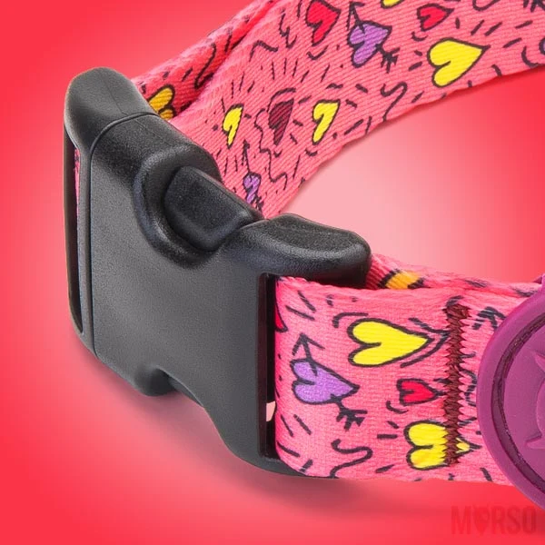Collier pour chien Pink Think