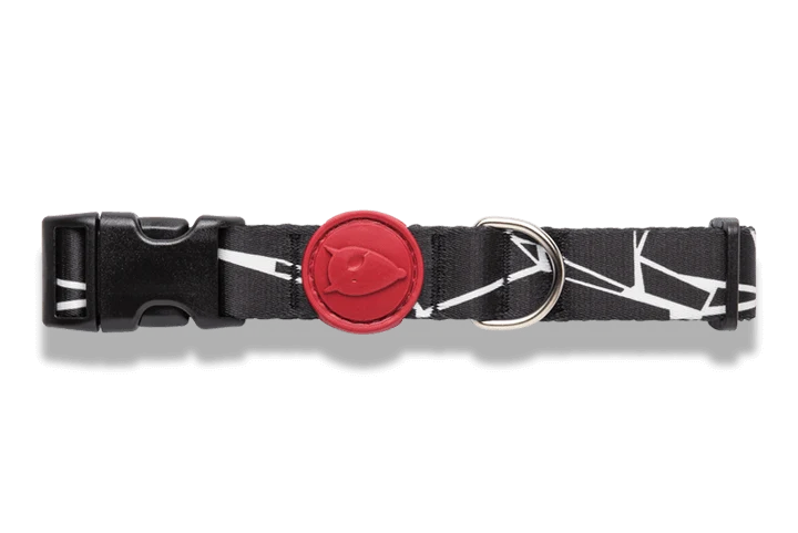 Collier pour chien Broken Self