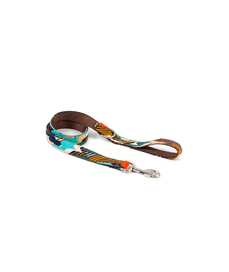 Ensemble Collier et laisse pour chien graphique Torms
