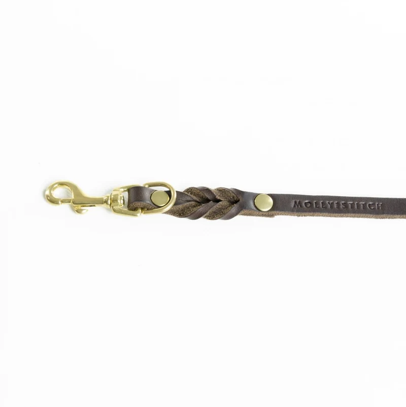 Laisse pour chien en cuir souple simple (8 couleurs)