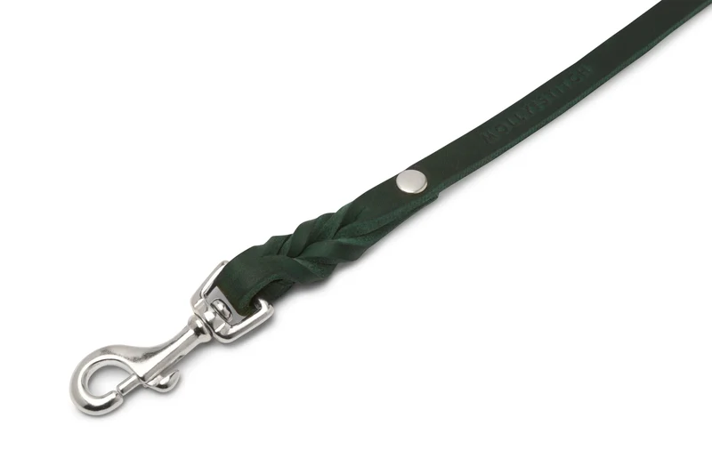 Laisse pour chien en cuir souple simple (8 couleurs)