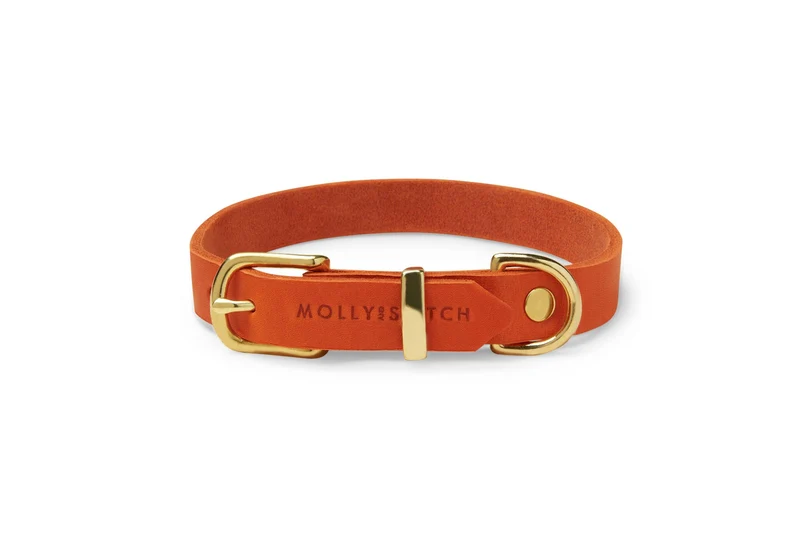Collier pour chien en cuir souple The Classic