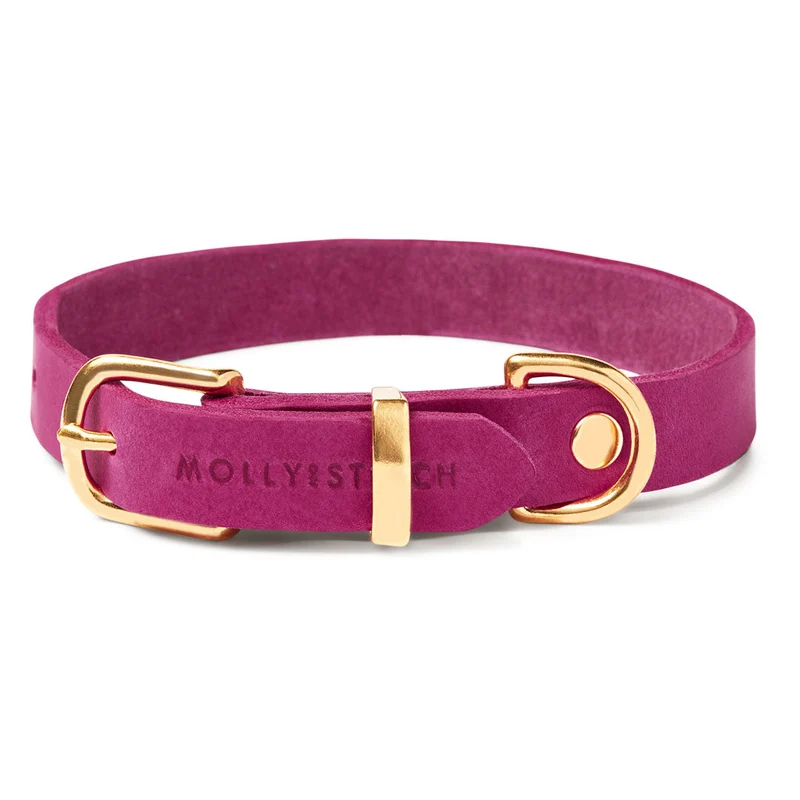 Collier pour chien en cuir souple The Classic