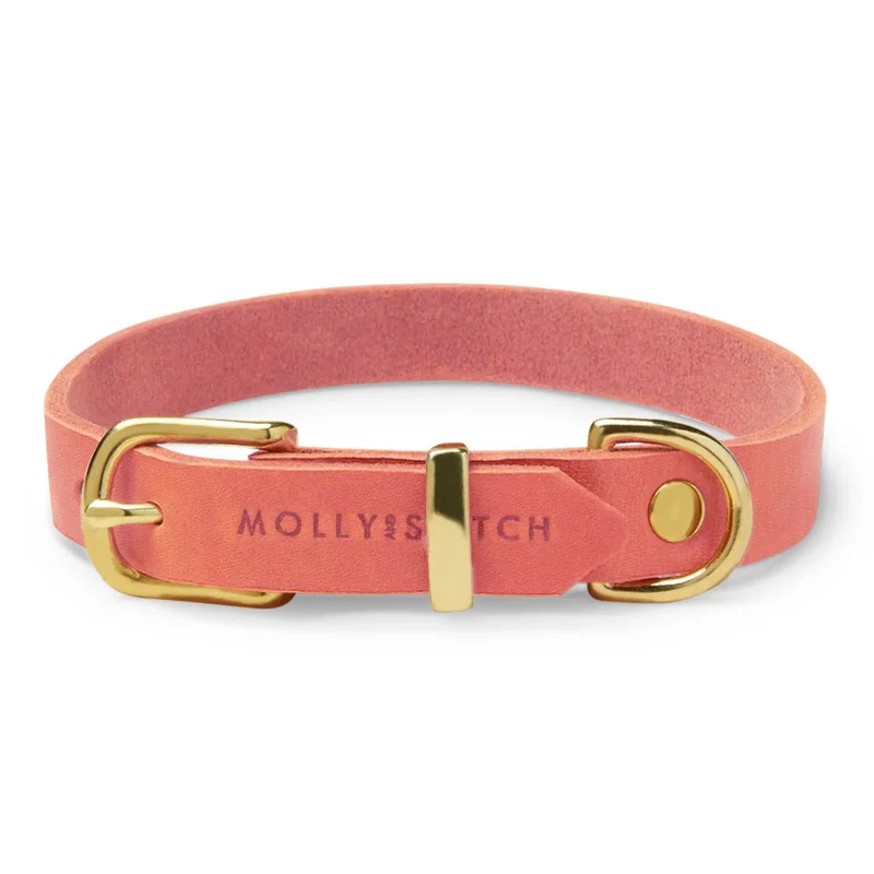 Collier pour chien en cuir souple The Classic