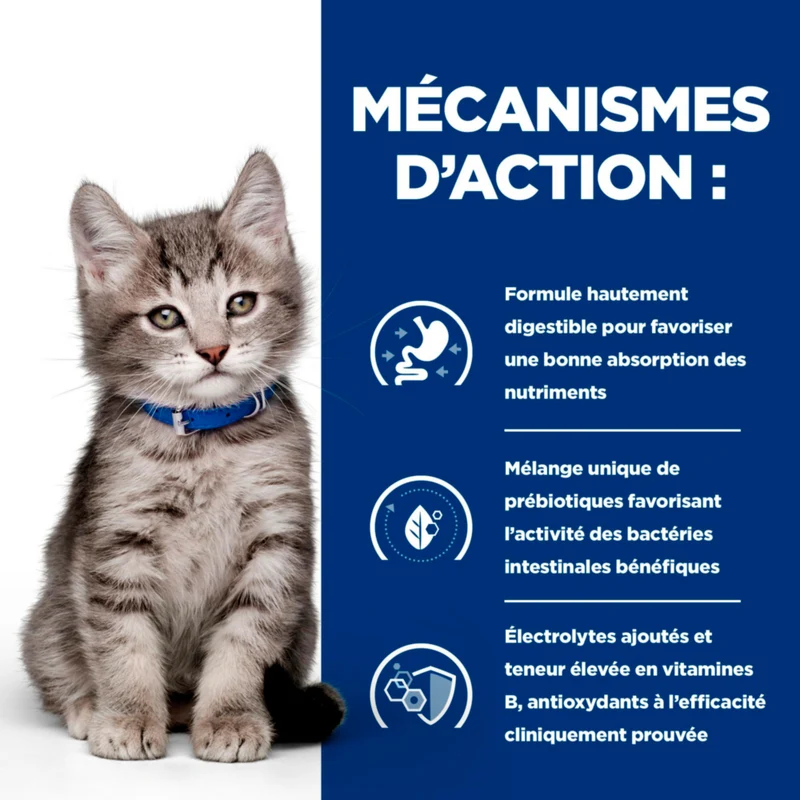 Hill's Prescription Diet I/D Digestive Kitten - croquettes pour chaton