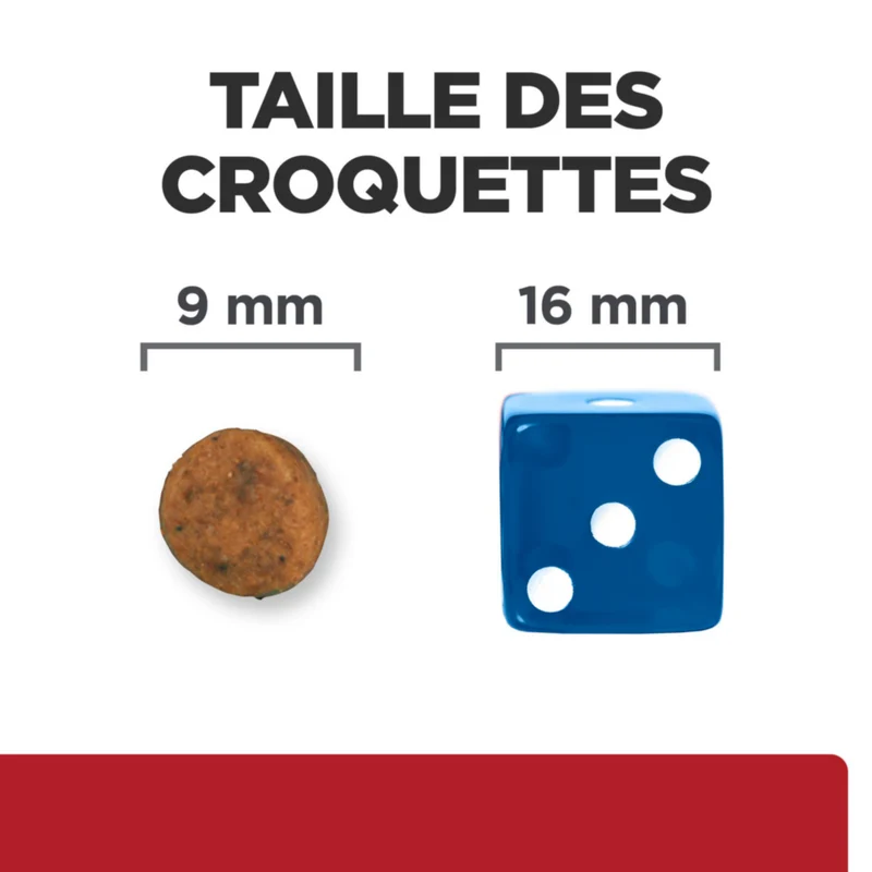 Hill's Prescription Diet I/D Digestive Kitten - croquettes pour chaton