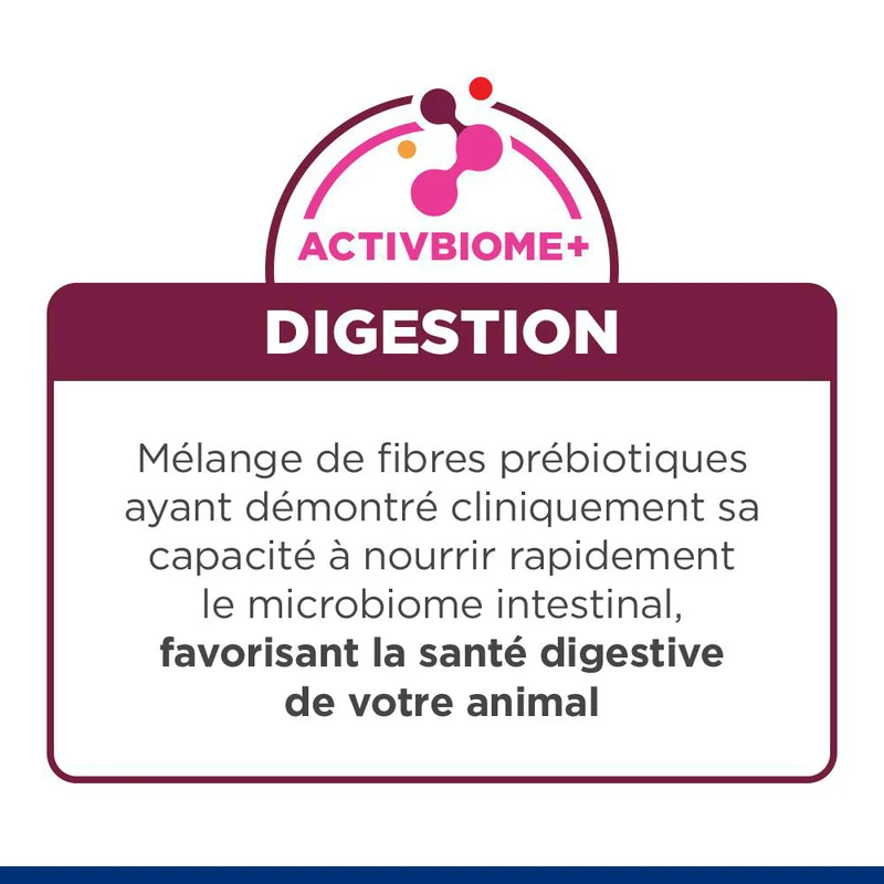 Hill's Prescription Diet I/D Digestive Kitten - croquettes pour chaton