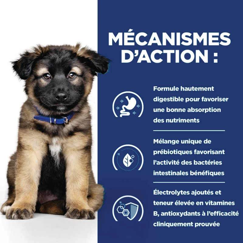 Hill's Prescription Diet i/d Digestive Puppy - croquettes chiot