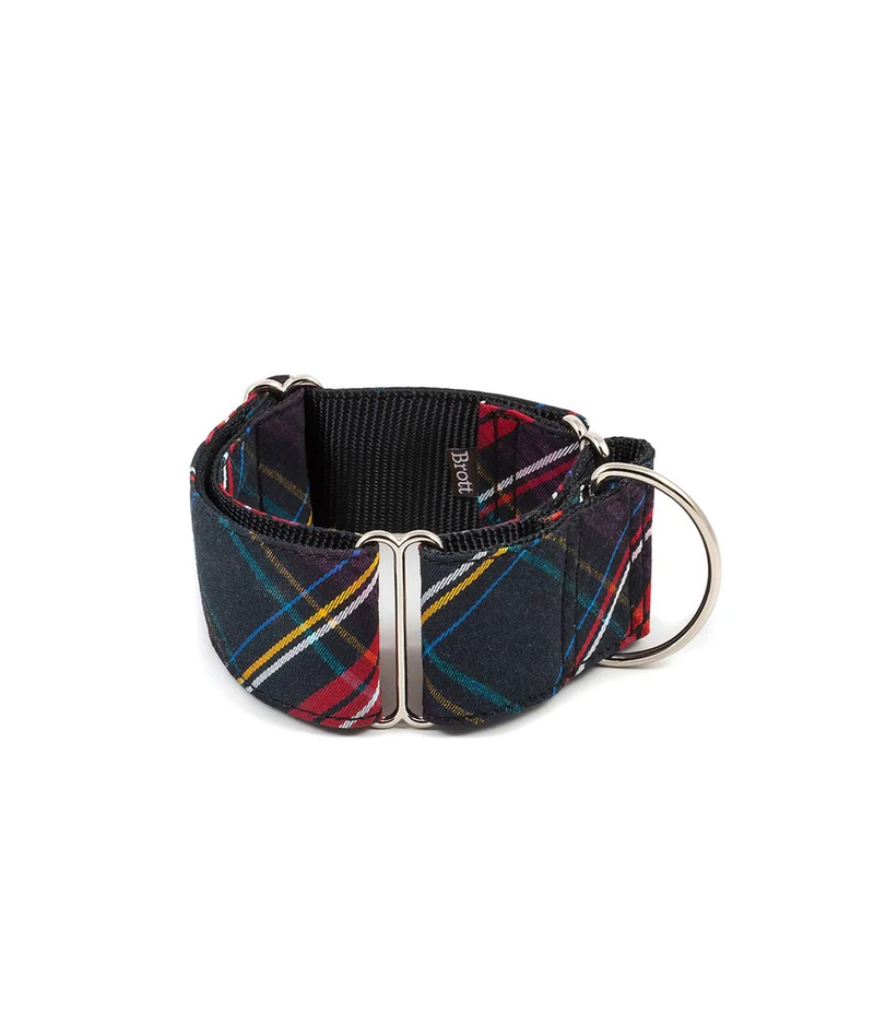 Collier pour chien écossais Cerdanya