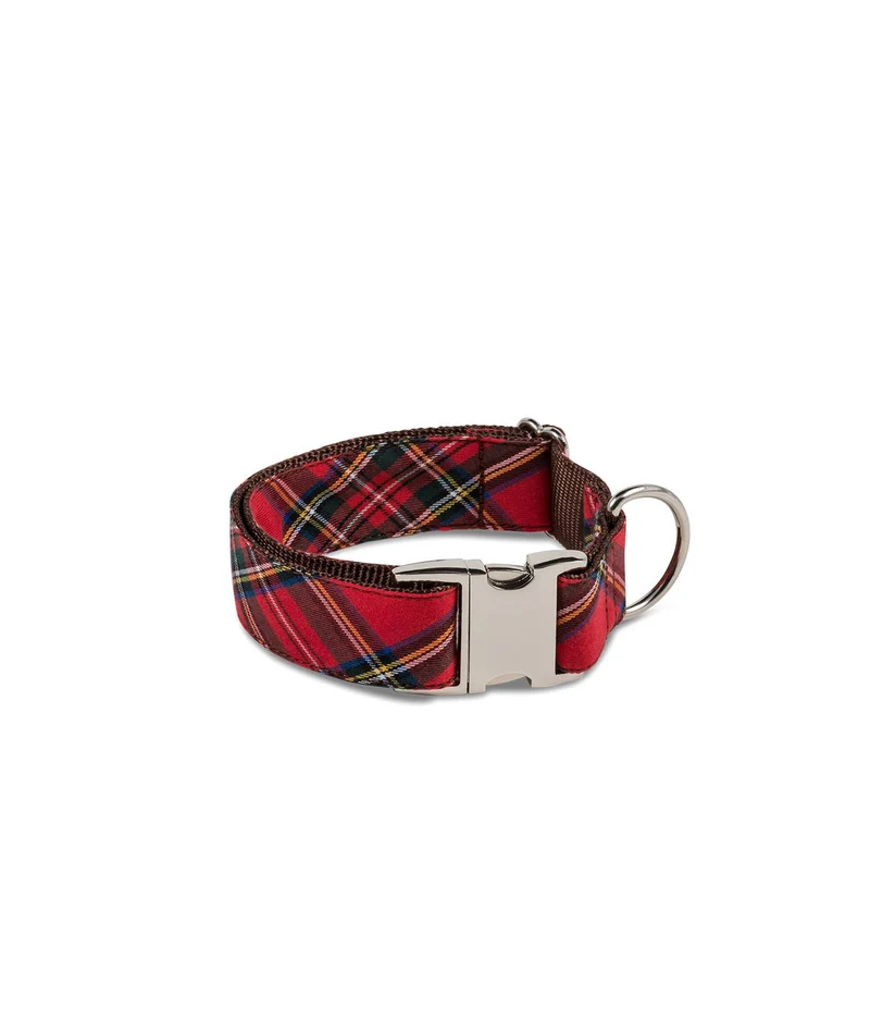 Collier pour chien écossais Tremp