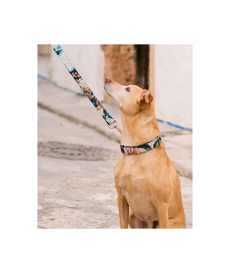 Laisse pour chien à fleurs Ebre
