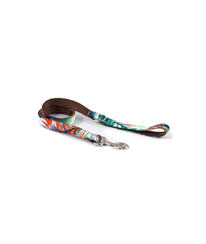 Collier pour chien Ebre