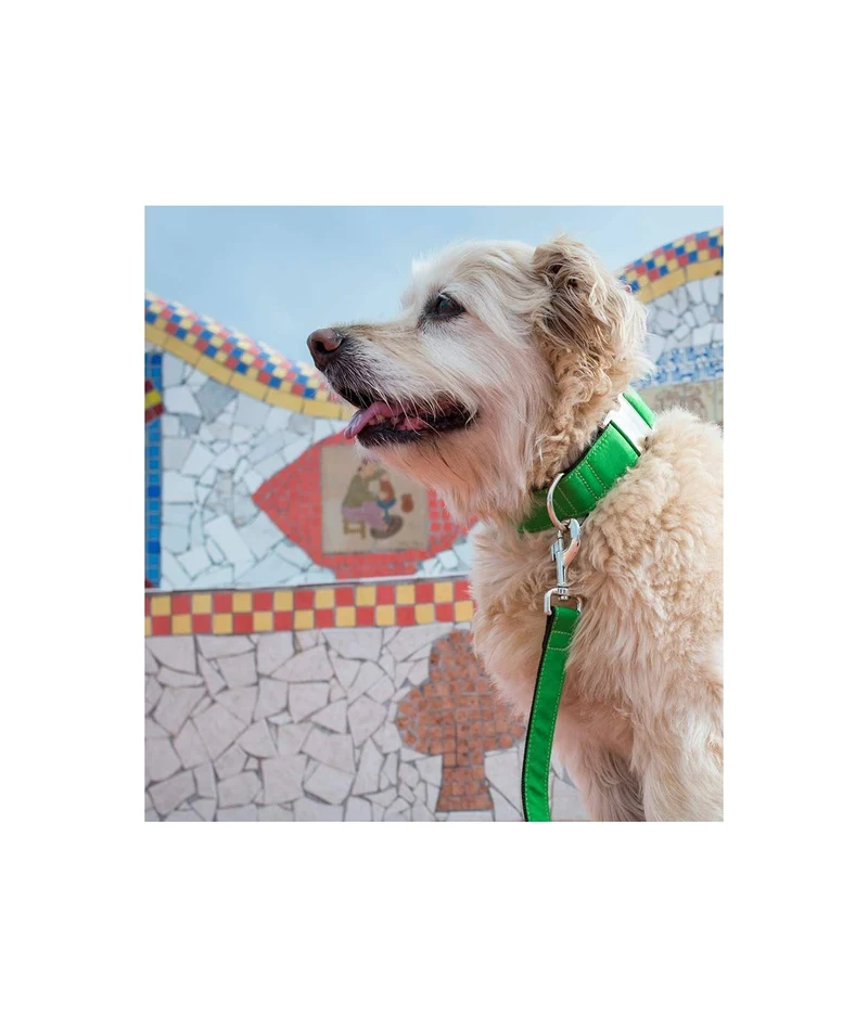 Laisse pour chien Green forest