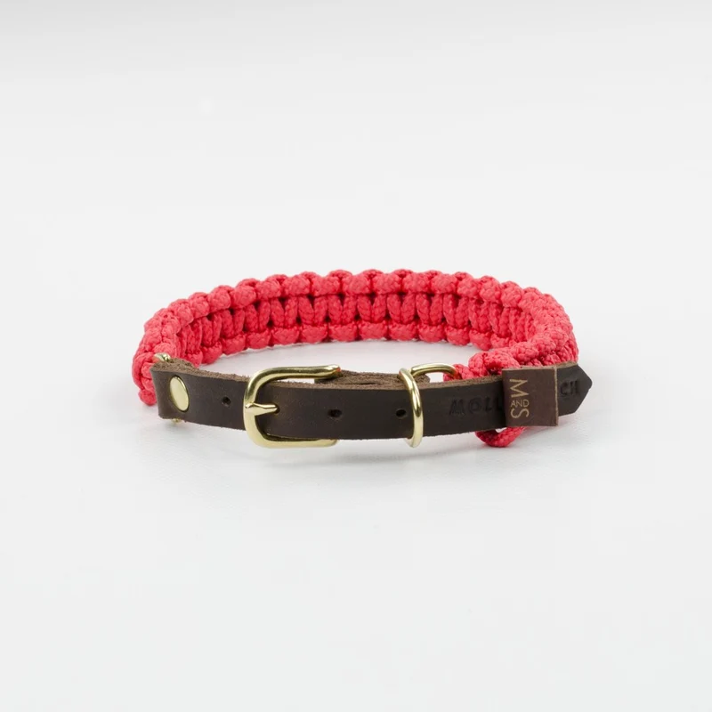 Collier pour chien en corde marine sangle cuir