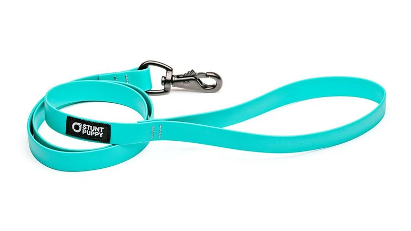 Laisse Biothane imperméable (5 couleurs)
