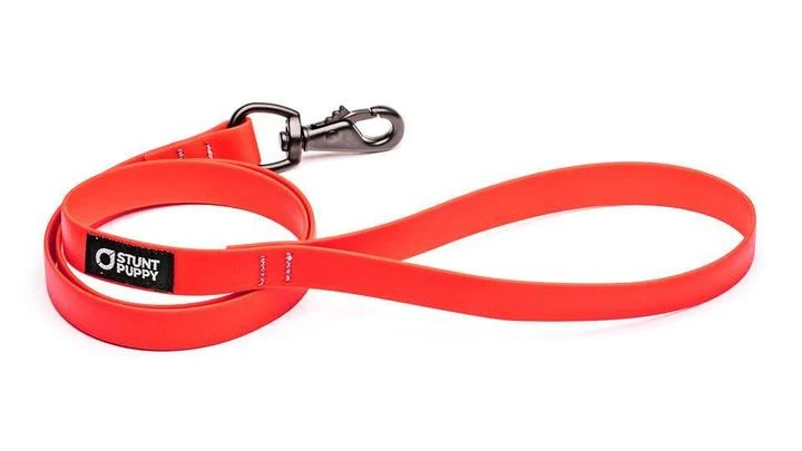 Laisse Biothane imperméable (5 couleurs)