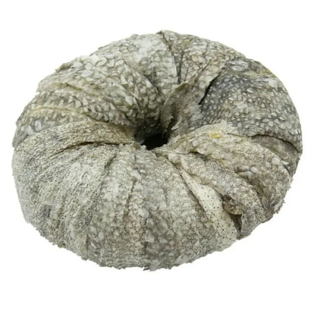 Fishies Donuts avec peau de poisson 110g