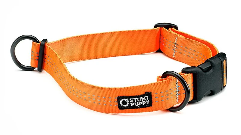 Collier pour chien souple Everyday (3 couleurs)