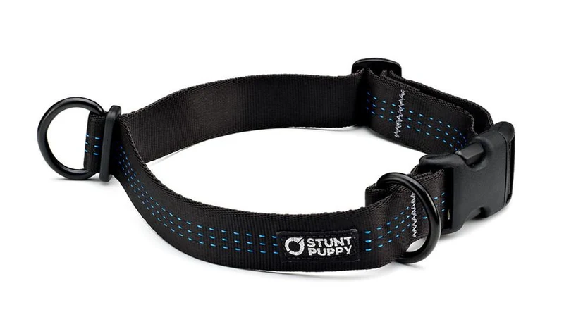Collier pour chien souple Everyday (3 couleurs)
