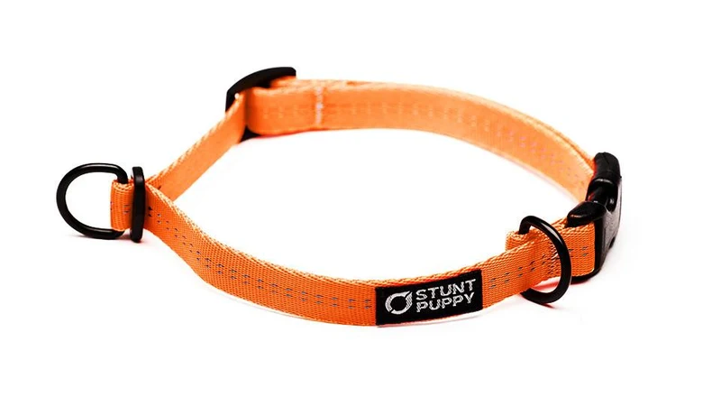 Collier pour chien souple Everyday (3 couleurs)