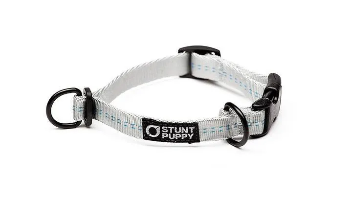 Collier pour chien souple Everyday (3 couleurs)