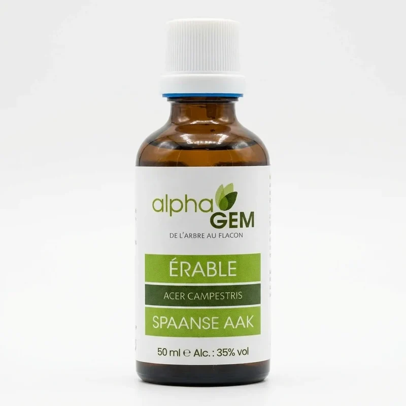 Bourgeons Erable champêtre Bio - 50ml - Alphagem