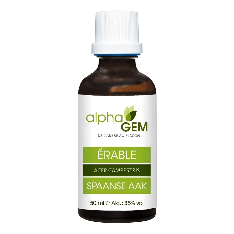 Bourgeons Erable champêtre Bio - 50ml - Alphagem