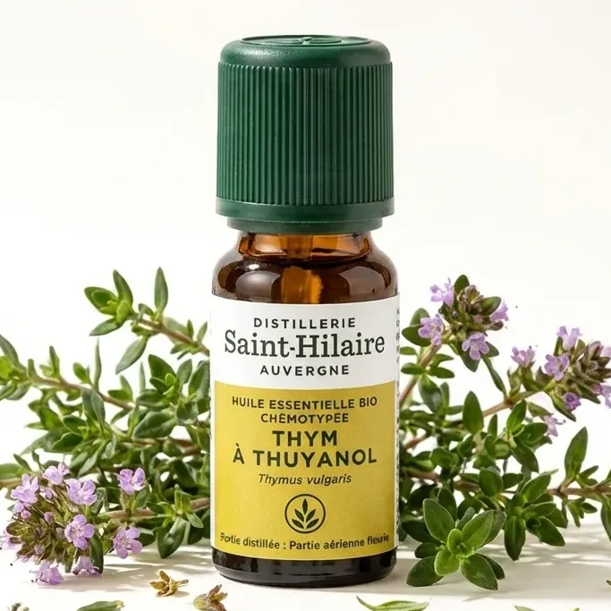 Huile Essentielle de Thym Thuyanol Bio - Saint-Hilaire- 5ml