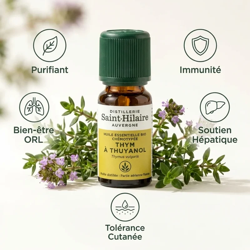 Huile Essentielle de Thym Thuyanol Bio - Saint-Hilaire- 5ml
