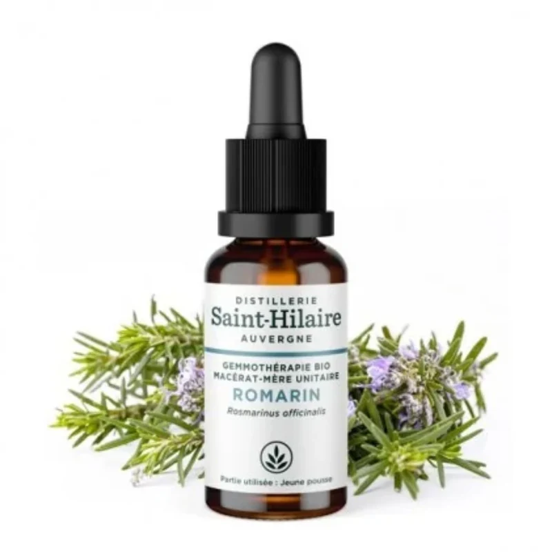 Macérât de Romarin Bio - Saint Hilaire - 30 ml