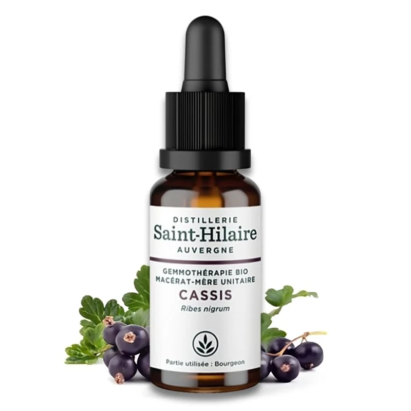 Macérât de Bourgeons de Cassis Bio - Saint Hilaire - 30ml