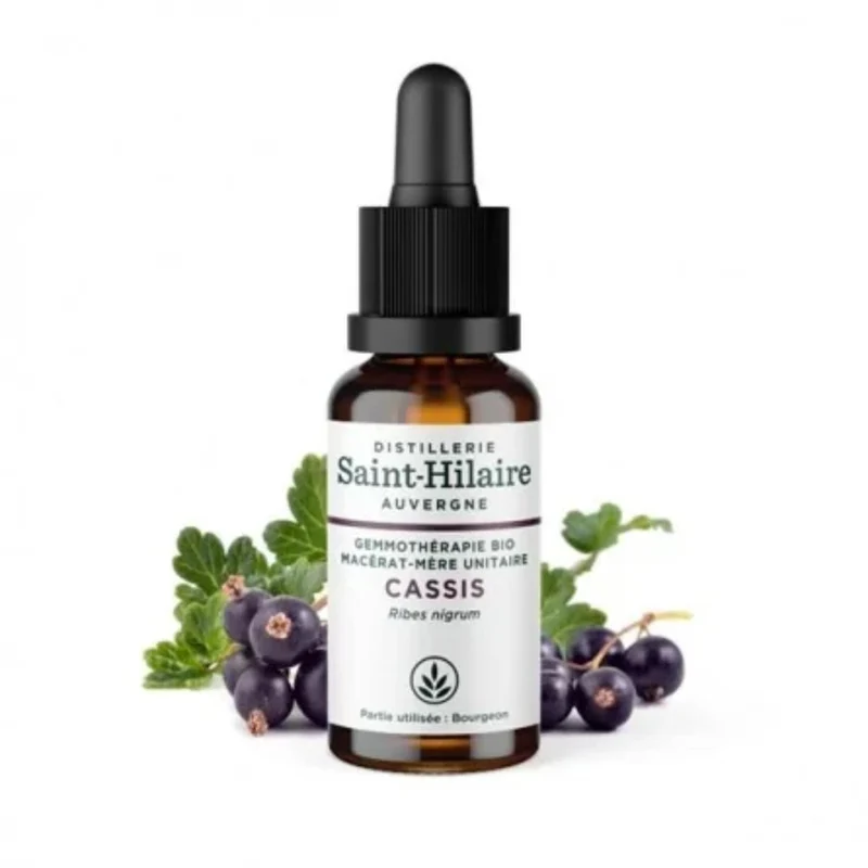 Macérât de Bourgeons de Cassis Bio - Saint Hilaire - 30ml