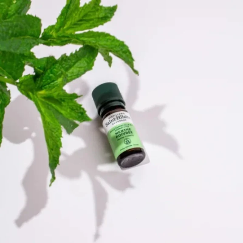 Huile Essentielle de Menthe poivrée Bio - Saint-Hilaire - 10 ml