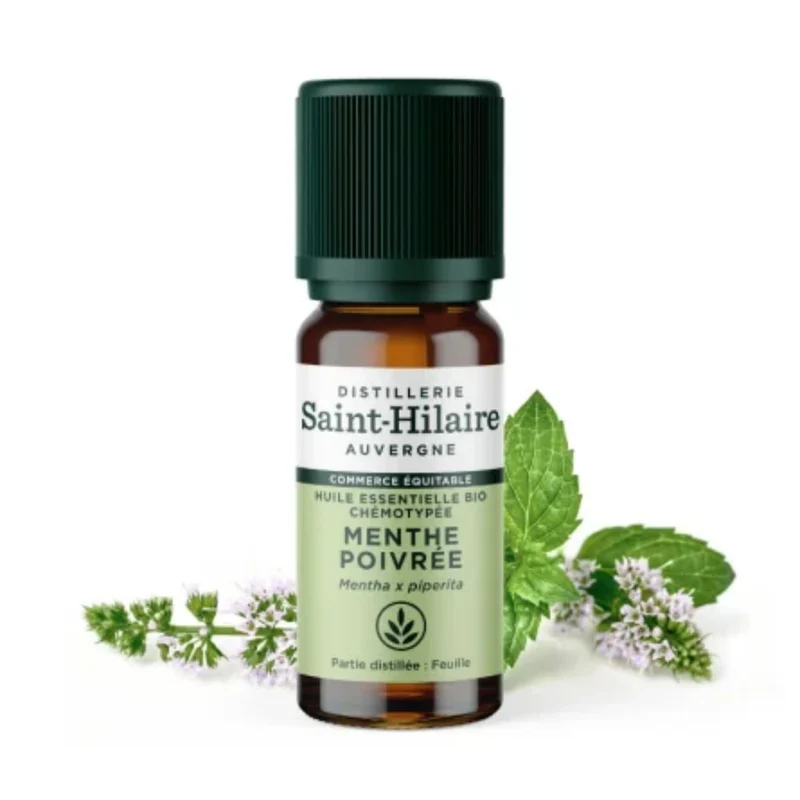 Huile Essentielle de Menthe poivrée Bio - Saint-Hilaire - 10 ml