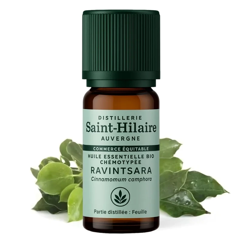 Huile Essentielle Bio de Ravintsara - Saint-Hilaire - 10 ml